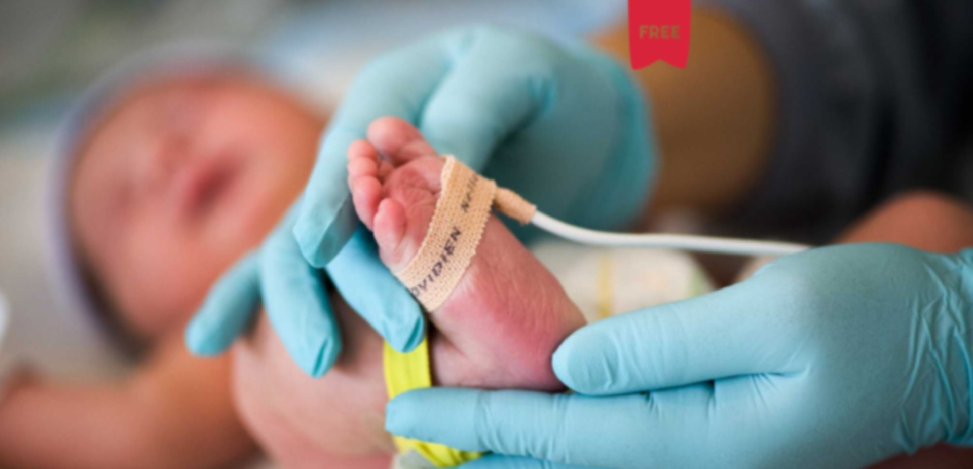 A Influência da Prematuridade no Neurodesenvolvimento do Bebé: Qual o Papel do Fisioterapeuta? | Por Alexandra Ribeiro e Teresa Coutinho (Bwizer Magazine)