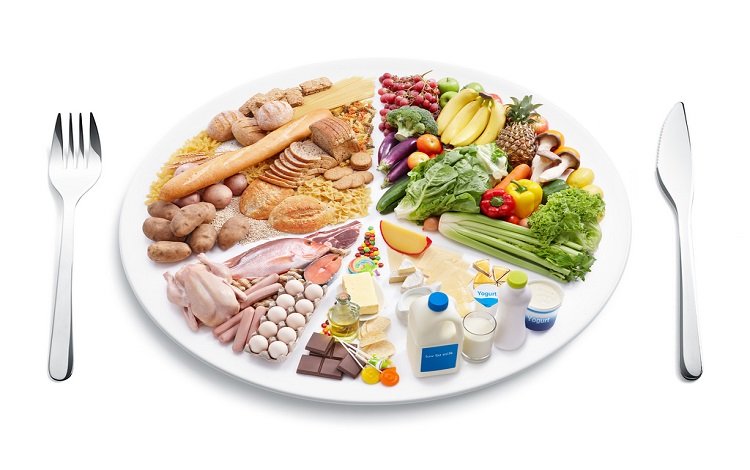 Roda dos Alimentos no prato