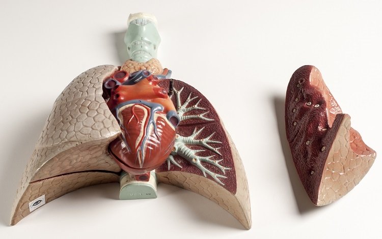 Desobstrução das Vias Aéreas Através da Hiperinsuflação Pulmonar