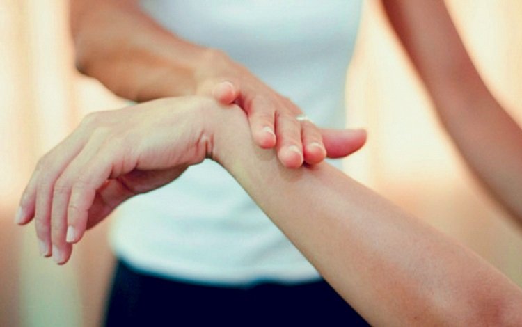 Kinesiologia Aplicada: Roda dos 14 músculos para teste muscular