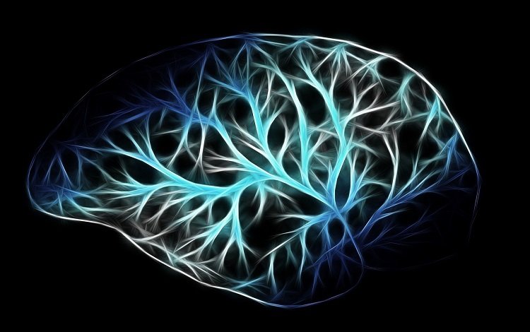 neurociência na dor crónica
