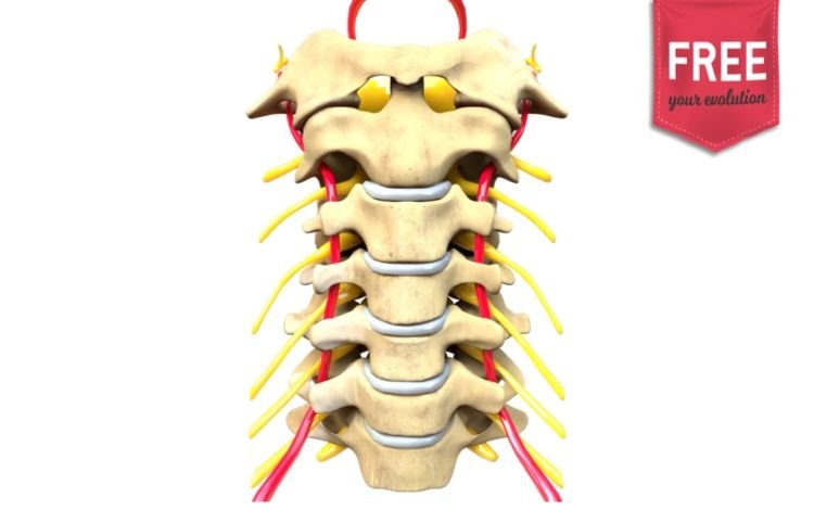 Disfunção Cervical – Achados clínicos e evidência: e-book gratuito