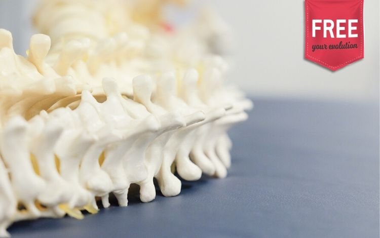 Autonomia profissional do Fisioterapeuta (esclarecimento da APFISIO)