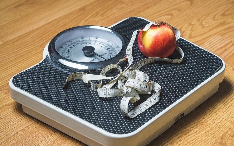 Proteína: Estratégias em Nutrição no Exercício