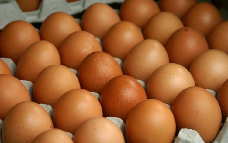 OVOS - afinal quantos podemos comer?