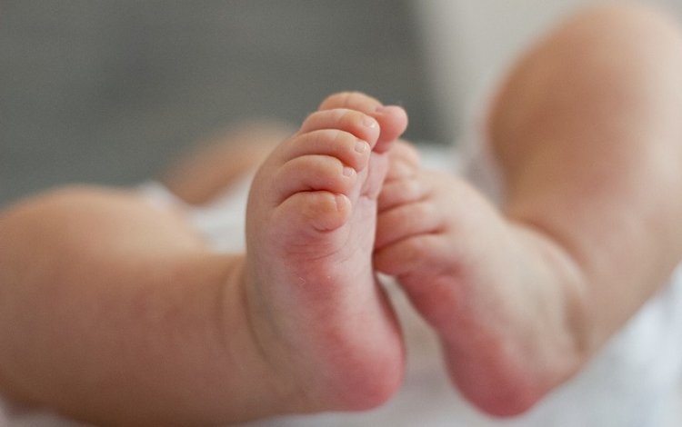 O mundo dos sentidos dos bebés - desenvolvimento psico-motor - fisioterapeuta maria joão alvito
