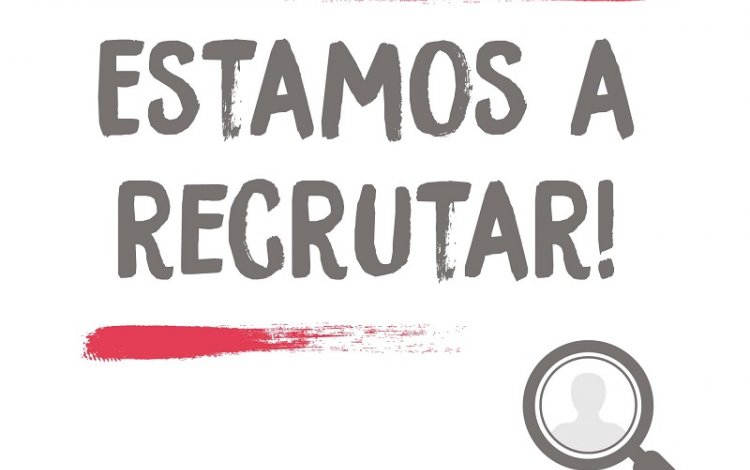 oferta de emprego - Bwizer - equipa de marketing